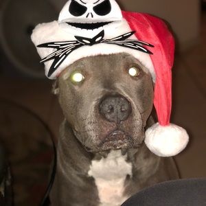 Meet your Posher, Cathy